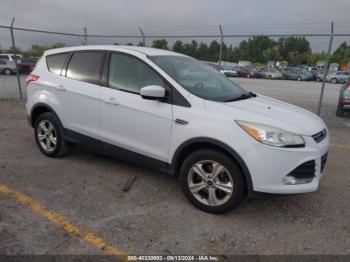  Salvage Ford Escape