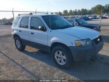  Salvage Ford Escape