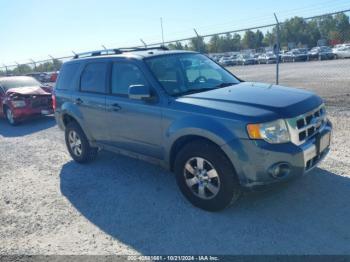  Salvage Ford Escape