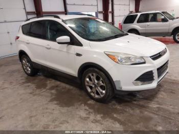  Salvage Ford Escape