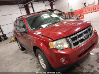  Salvage Ford Escape