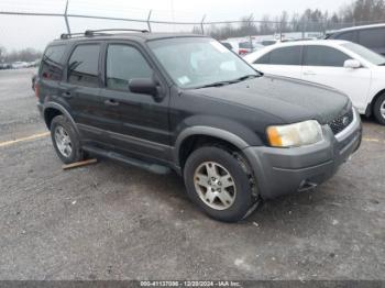  Salvage Ford Escape