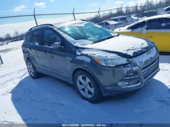  Salvage Ford Escape