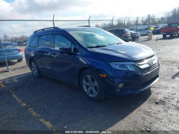  Salvage Honda Odyssey