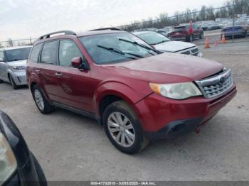  Salvage Subaru Forester