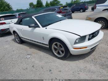  Salvage Ford Mustang