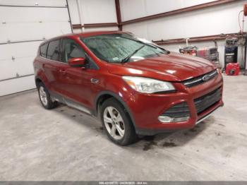  Salvage Ford Escape
