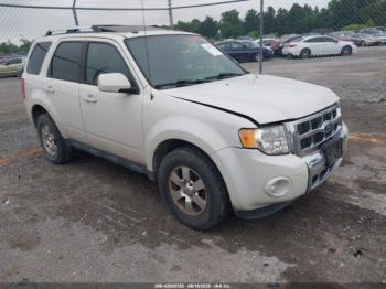  Salvage Ford Escape