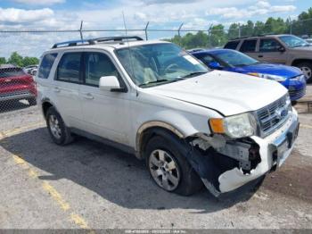  Salvage Ford Escape