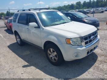  Salvage Ford Escape