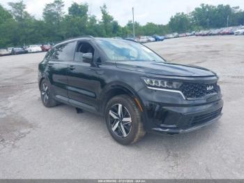  Salvage Kia Sorento