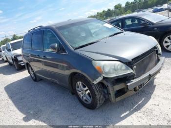  Salvage Honda Odyssey
