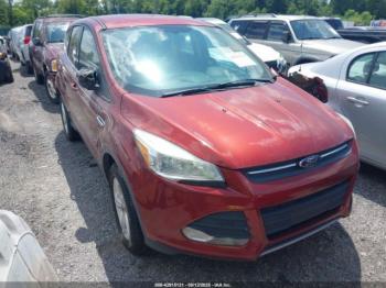  Salvage Ford Escape