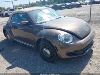  Salvage Volkswagen Beetle