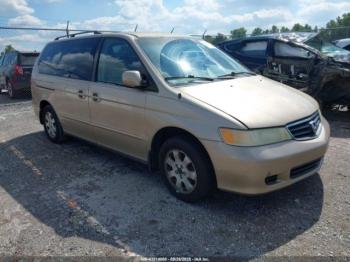  Salvage Honda Odyssey