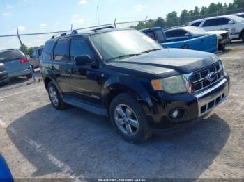  Salvage Ford Escape