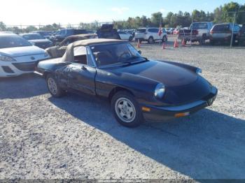  Salvage Alfa Romeo Veloce