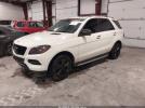 Mercedes-Benz M-Class 4matic Image 2