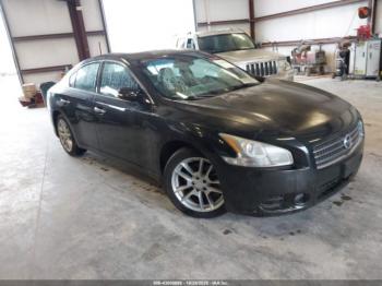  Salvage Nissan Maxima