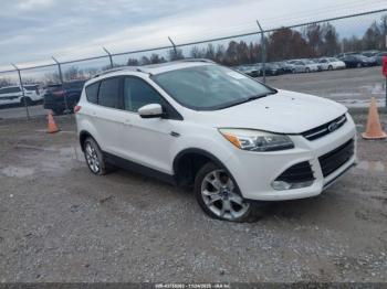  Salvage Ford Escape