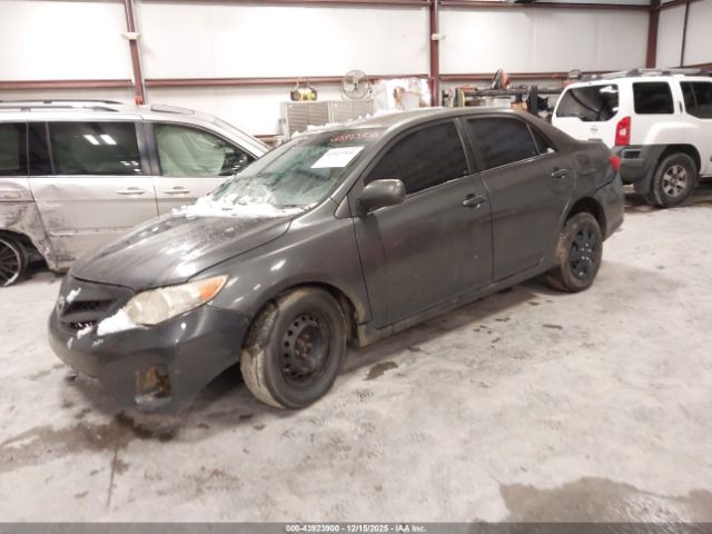 Toyota Corolla Le Image 6