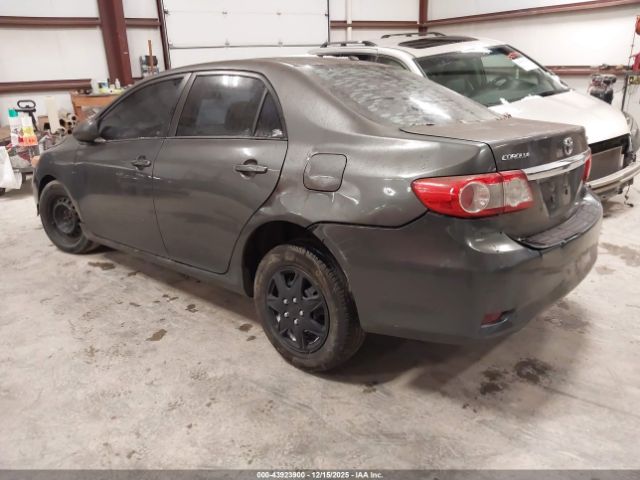 Toyota Corolla Le Image 15