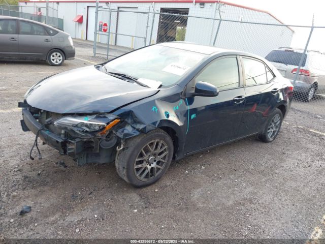 Toyota Corolla Le Image 2