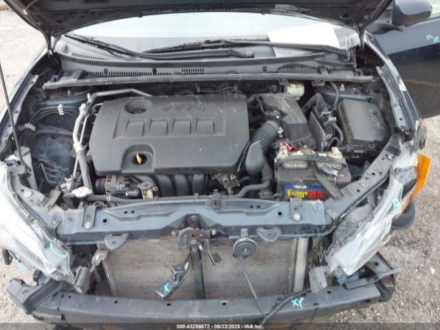 Toyota Corolla Le Image 11