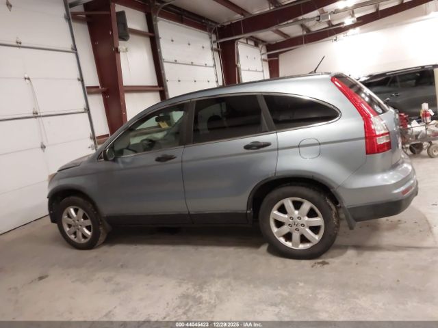 Honda CR-V Se Image 7