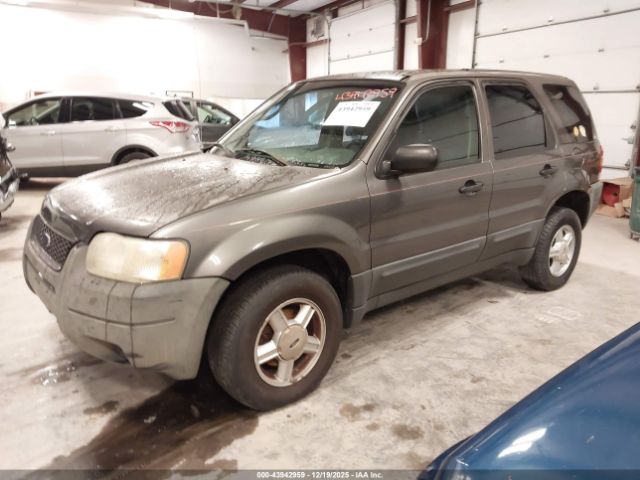 Ford Escape Xls Image 5